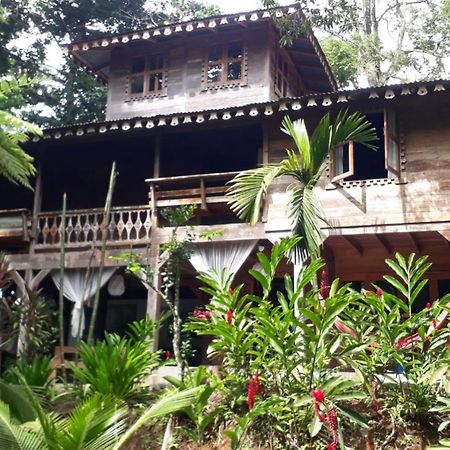 Casa De La Trepada Villa Cocles Bagian luar foto